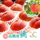【ふるさと納税】【2026年発送先行予約】山梨県山梨市産 旬の採れたて高糖度桃 約5kg(13〜20玉)【配送不可地域:離島・沖縄県】【1572402】