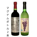 【ふるさと納税】未来夢ワイナリー ナチュラルワイン 甲州&ヤマゾービニオン 2本【配送不可地域:離島】【1572914】