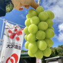 【ふるさと納税】【シャインマスカット約1kg 2〜3房】【配送不可地域:離島】【1577007】