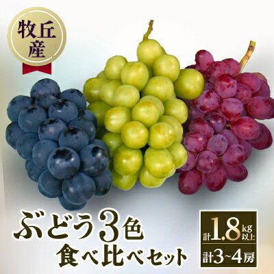 【ふるさと納税】山梨直送!ぶどう3色(黒・緑・赤)食べ比べセット 3~4房(計1.8kg以上)_ ぶどう ブドウ 葡萄 山梨県 3色 食べ比べ セット 果物 くだもの フルーツ デザート 国産 産直 産地直送 ギフト 送料無料 【配送不可地域:離島・沖縄県】【1579254】