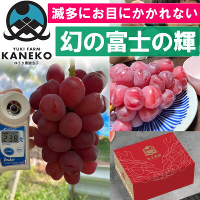 【ふるさと納税】【本場山梨の希少品種】残りわずかこれを逃せば1年待ち富士の輝 約2kg 2025年9月下旬より発送【配送不可地域:離島】【1579834】