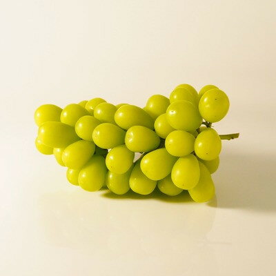 【ふるさと納税】【先行予約2026年発送】 シャインマスカット 1房(約500g～600g) 【訳あり】【配送不可地域：離島・沖縄県】【1579990】