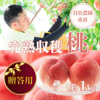 【ふるさと納税】【贈答用】完熟収穫桃 約1kg 山梨県産 自社農園産直!【配送不可地域:離島】【1580902】