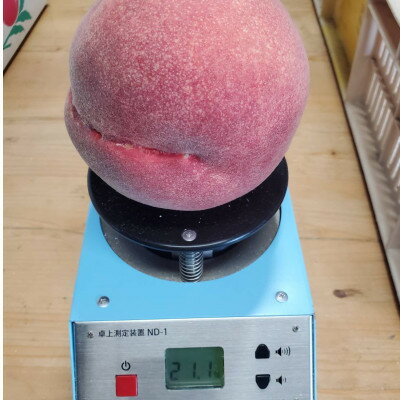 【ふるさと納税】【一般市場に一切出回る事のない】1000個中1個の希少性『幻のシャトーブリアン桃』8月中旬～順次発送【配送不可地域：離島・北海道・沖縄県・中国・四国・九州】【1586350】