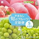 【ふるさと納税】【発送月固定定期便】やまなし旬のフルーツ定期便(桃・シャインマスカット)【S】全2回_ もも ぶどう ブドウ 山梨 フルーツ 果物 セット 贈答 ギフト プレゼント 産地直送 送料無料 【配送不可地域:離島・沖縄県】【4012931】