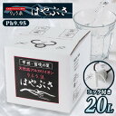 【ふるさと納税】【毎月定期便】りょう泉はやぶさ バックインボックス(20L/コック付)全6回【4058694】