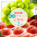 【ふるさと納税】【発送月固定定期便】フルーツギフト専門店が選ぶ山梨市の厳選フルーツ定期便 全2品種全2回【配送不可地域:離島・沖縄県】【4060650】