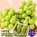 【ふるさと納税】やみつきシャインマスカット 優 1.2kg (2~3房)【配送不可地域:離島・沖縄県】【1304362】