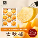【ふるさと納税】やまなし内藤農園の太秋柿 2.3kg【配送不可地域:離島】【1398816】