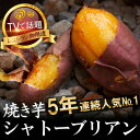 【ふるさと納税】【比類なき幻の焼き芋】100日熟成ギリギリまで糖化したシャトーブリアン焼き芋2026年2月上旬〜発送【配送不可地域:離島】【1586923】