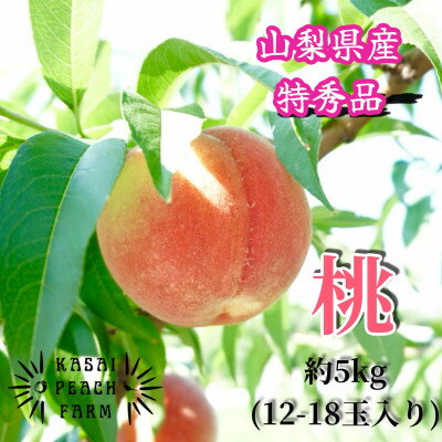 【ふるさと納税】厳選朝採り桃 山梨の笠井桃園の桃 約5kg【配送不可地域:離島】【1587434】