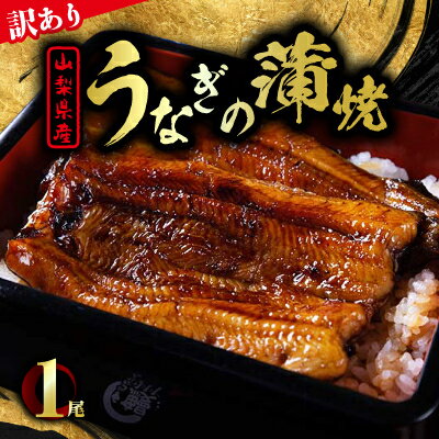【ふるさと納税】【訳あり】山梨県産富士山脈の地下水うなぎの蒲焼 1尾【配送不可地域:離島】【1595402】
