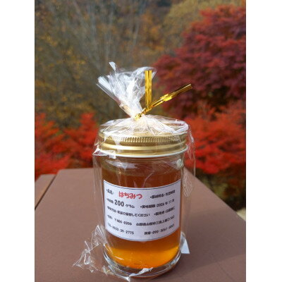 【ふるさと納税】山梨市三富産 日本みつばちの純粋はちみつ 200g【1595888】