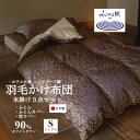 【ふるさと納税】プレミアム羽毛掛け布団3点セット【シングル】羽毛掛け布団・掛け布団カバー・枕カバー【1604988】