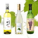 【ふるさと納税】山梨市おすすめ白ワイン3本セット(2)【配送不可地域:離島】【1613626】