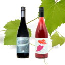 【ふるさと納税】三養醸造が贈る『ヤマソービニオン』『マスカットベーリーA』計2本セット【配送不可地域:離島】【1616274】