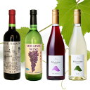 【ふるさと納税】山梨市おすすめ赤白ロゼ4本セット(2)【配送不可地域:離島】【1616284】