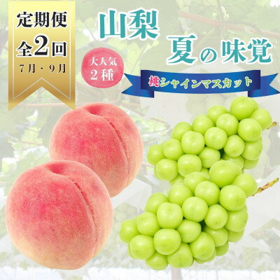 【ふるさと納税】【発送月固定定期便】山梨夏の味覚定期便〈桃 約2kg/シャインマスカット 1.1kg以上〉全2回_ フルーツ 果物 くだもの もも ぶどう 人気 旬 詰め合わせ セット 贈答 ギフト プレゼント 産地直送 送料無料 【配送不可地域:離島】【4050317】 【ふるさと納税】【発送月固定定期便】山梨夏の味覚定期便〈桃 約2kg/シャインマスカット 1.1kg以上〉全2回_ フルーツ 果物 くだもの もも ぶどう 人気 旬 詰め合わせ セット 贈答 ギフト プレゼント 産地直送 送料無料 【配送不可地域:離島】【4050317】