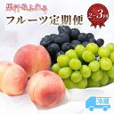 【ふるさと納税】【定期便 全2回or全3回】山梨の桃 シャインマスカット 黒ぶどう_フルーツ シャインマスカット 桃 もも 白桃 白鳳 ぶどう ブドウ 先行予約...