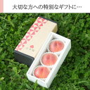 【ふるさと納税】【発送月固定定期便】7月・8月 三十屋こだわり桃 選りすぐり2品種お届け全2回【配送不可地域:離島・沖縄県】【4064315】