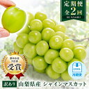 【ふるさと納税】【発送月固定定期便】【訳アリ】山梨のシャインマスカット2房1kg以上全2回【配送不可地域:離島】【4064507】
