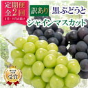 【ふるさと納税】【発送月固定定期便】【訳アリ】山梨の黒ぶどうとシャインマスカット全2回【配送不可地域:離島】【4064509】