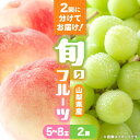 【ふるさと納税】【発送月固定定期便】桃5〜8玉(2kg)・シャインマスカット2房(1kg以上)全2回【配送不可地域:離島・沖縄県】【4066669】