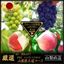 【ふるさと納税】【発送月固定定期便】フルーツ定期便全4回【配送不可地域:離島】【4066761】