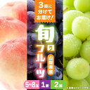 【ふるさと納税】【発送月固定定期便】桃2kg(5〜8玉) 黒ぶどう1房 シャインマスカット2房1kg以上全3回【配送不可地域:離島・沖縄県】【4067606】