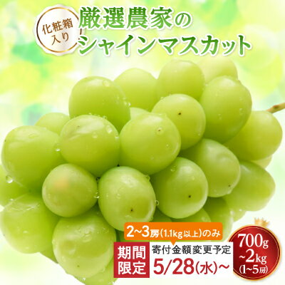 【ふるさと納税】1.1kgの規格のみ寄付額変更中_【2025年度発送】シャインマスカット700g　1kg　1.1kg　1.5kg　2kg　_ 山梨県 山梨市 フルーツ 果物 ぶどう マスカット シャインマスカット 山梨産 ふるさと納税 【配送不可地域：離島】【G1274436】