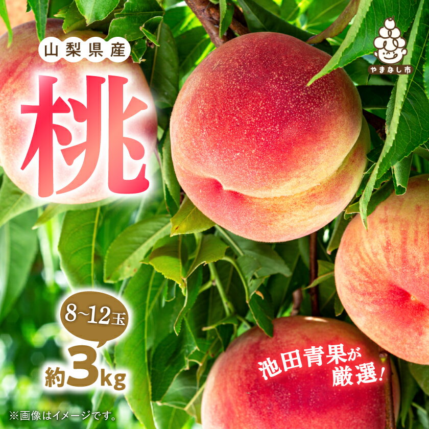 【ふるさと納税】桃 約3kg (8玉~12玉) 厳選 ! 池田青果の もも_桃 山梨 もも モモ フルーツ 果物 くだもの 山梨県 山梨市 山梨 ふるさと 人気 送料無料【配送不可地域:離島・沖縄県】【1280521】
