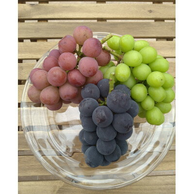 ڤդ뤵Ǽǡۡ2026ǯͽ餴ȿ٤֤ɤ3ͤ碌 1kg(3˼)Բϰ衧Υۡ1585100