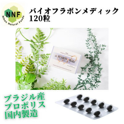 【ふるさと納税】バイオフラボンメディック 120粒【1590821】