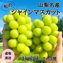 【ふるさと納税】◆先行予約◆産地直送 山梨名産!旬のシャインマスカット 2〜3房(計1kg以上)【配送不可地域:離島】【1640021】