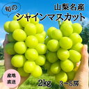 【ふるさと納税】◆先行予約◆産地直送 山梨名産!旬のシャインマスカット 3〜5房(計2kg)【配送不可地域:離島】【1640708】