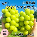 【ふるさと納税】◆先行予約◆産地直送 山梨名産!旬のシャインマスカット 2〜4房(計1.5kg)【配送不可地域:離島】【1640710】