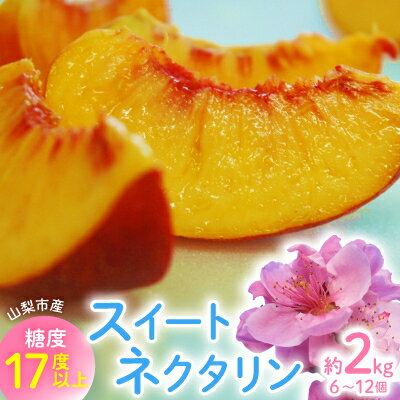 【ふるさと納税】2026年先行 スイートネクタリン 約2kg(6〜12個)【配送不可地域:離島・北海道・沖縄県・中国・四国・九州】【1676551】