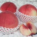 【ふるさと納税】2026年発送 山梨市産 訳あり桃 約2kg(4〜8玉)【配送不可地域:離島】【1688049】