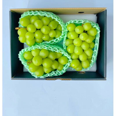 [発送月固定定期便]★2026年度 先行予約シャインマスカット2.0kg 3-4房全2回[配送不可地域:離島・沖縄県]