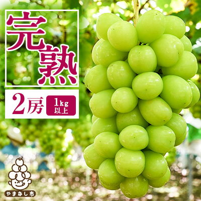 【ふるさと納税】【2026年先行予約】完熟 シャインマスカット 2房 (1kg以上) 世界農業遺産認定地特産_ ふるさと納税 ふるさと マスカット ぶどう ブドウ 葡萄 フルーツ 果物 くだもの 人気 美味しい 山梨県 山梨市 山梨 【配送不可地域：離島】【1117448】