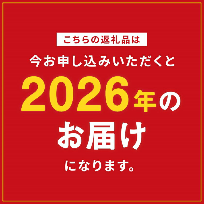 【ふるさと納税】ランキング急上昇中!_【定期便】2026年発送 旬の果物 桃・黒ぶどう・シャインマスカット 全2回or全3回_ シャインマスカット 桃 もも モモ ぶどう ブドウ 葡萄 マスカット 山梨県 山梨市 定期便 果物【配送不可地域：離島・沖縄県】【G4005775】