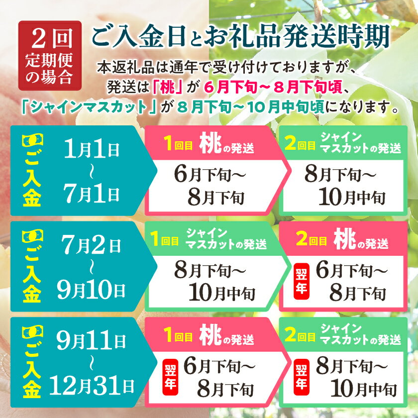 【ふるさと納税】ランキング急上昇中!_【定期便】2026年発送 旬の果物 桃・黒ぶどう・シャインマスカット 全2回or全3回_ シャインマスカット 桃 もも モモ ぶどう ブドウ 葡萄 マスカット 山梨県 山梨市 定期便 果物【配送不可地域：離島・沖縄県】【G4005775】