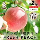 10位! 口コミ数「28件」評価「4.64」とろける甘み YAMANASHI PRIDE 完熟 桃 (5～8個)【配送不可地域：離島・北海道・沖縄県・中国・四国・九州】【1222000･･･ 