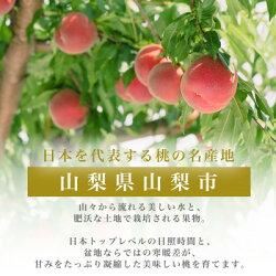 【ふるさと納税】【とろける甘み】YAMANASHI PRIDEプレミアムピーチ 完熟桃 (5～8個)【配送不可地域：離島・北海道・沖縄県・中国・四国・九州】【1222000】･･･ 画像2