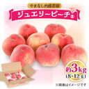 【ふるさと納税】桃 約3.0kg 8〜12玉 やまなし内藤農園 ジュエリーピーチ (R) 白桃_ ふるさと納税 ふるさと 桃 もも モモ フルーツ 果物 くだも...