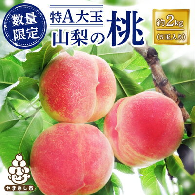 【ふるさと納税】『数量限定』山梨の桃　特A大玉　約2kg＜2022年7月より発送予定＞【配送不可地域：離島】【1229494】のサムネイル