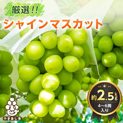 【ふるさと納税】山梨県産シャインマスカット4～6房(約2.5kg) ふるさと納税【配送不可地域：離島】【1272527】