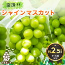 【ふるさと納税】【2023年先行受付】山梨県産シャインマスカット4～6房(約2.5kg) ふるさと納税【配送不可地域：離島】【1272527】