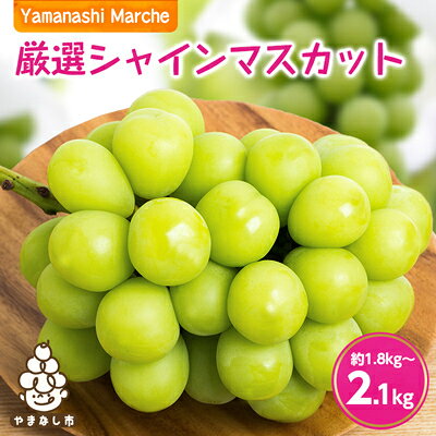 【ふるさと納税】厳選シャインマスカット約1.8kg～2.1kg ふるさと納税【配送不可地域：離島】【1273658】