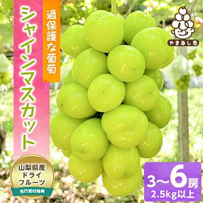 【ふるさと納税】朝もぎ直送! 過保護な葡萄『シャインマスカット』2.5kg以上・特典付き【配送不可地域：離島】【1275945】のサムネイル